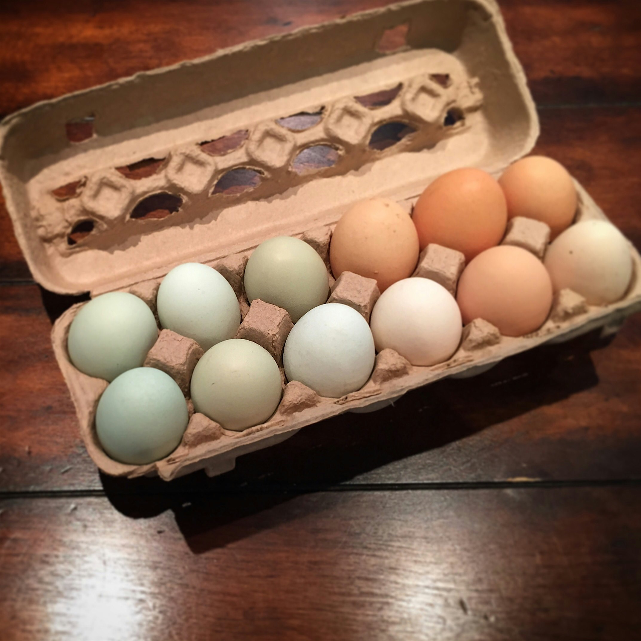 The difference between fresh local eggs and the ones from the grocery store is enormous! The yolk...
