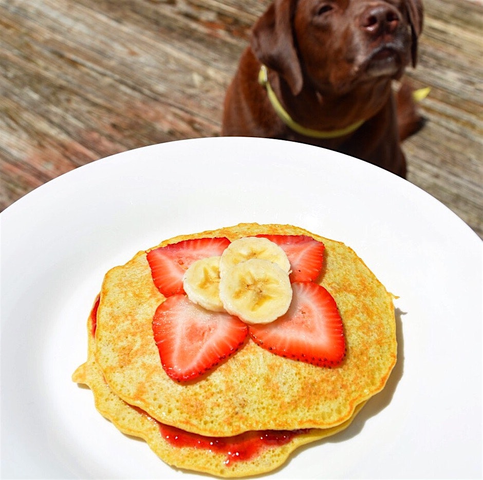 Dexter begging for banana pancakes (understandably)