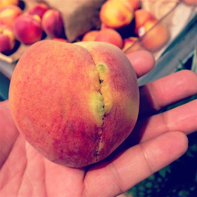 "FrankenPeach" Looks like someone got stitched up just in time to be picked up at the market! Hop...