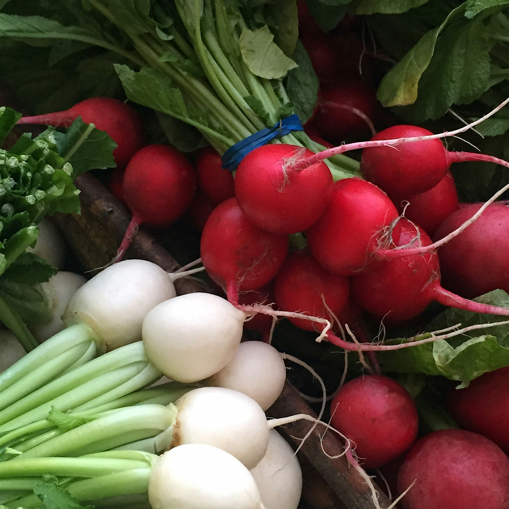 Spent a few days in the great city of Minneapolis so get ready for some real farmers market actio...