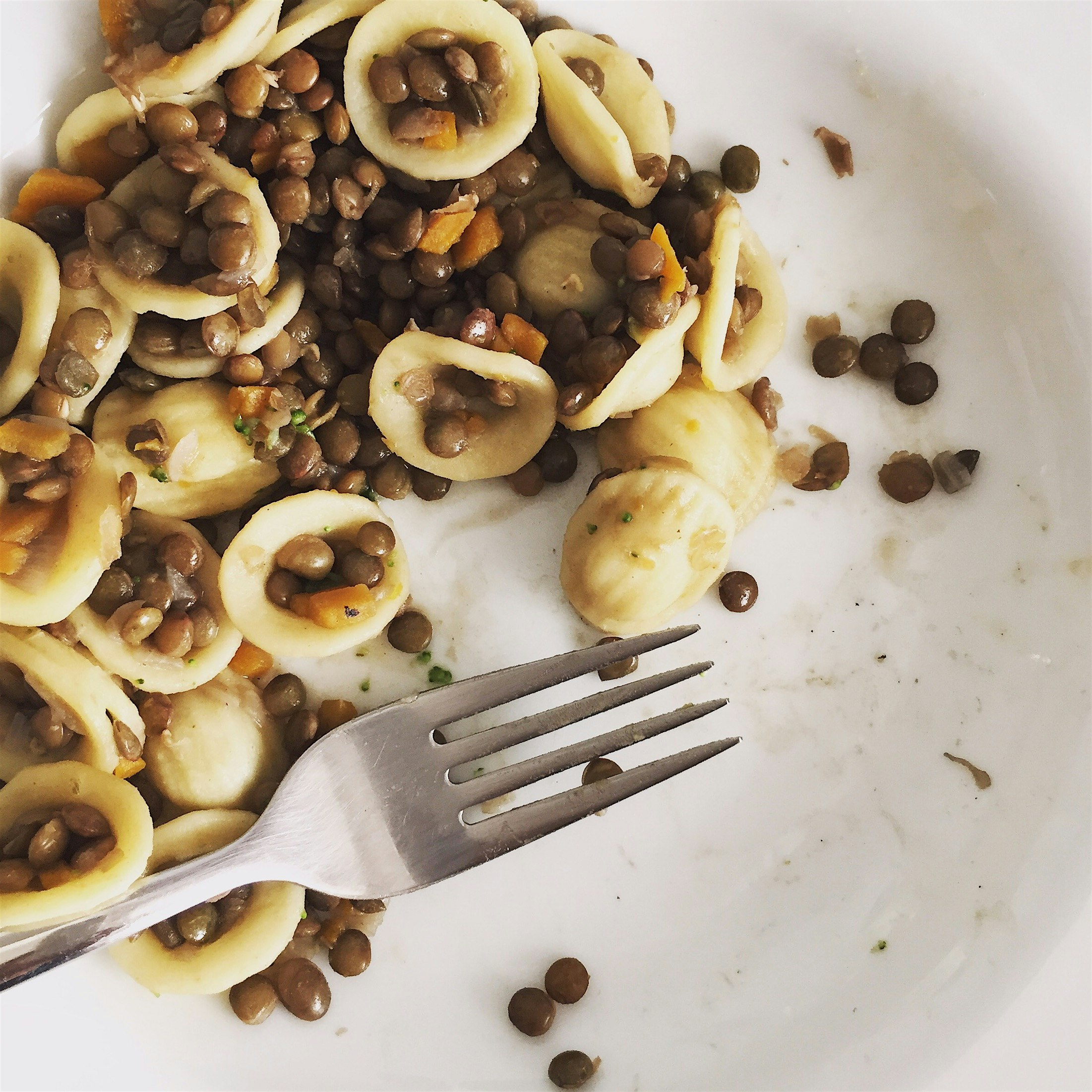 Lentils and Orecchiette 