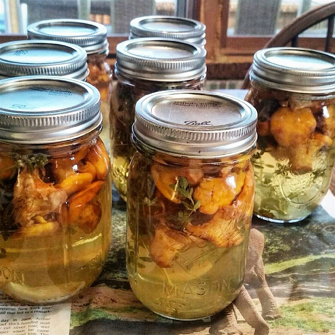 Chanterelle pickles. 