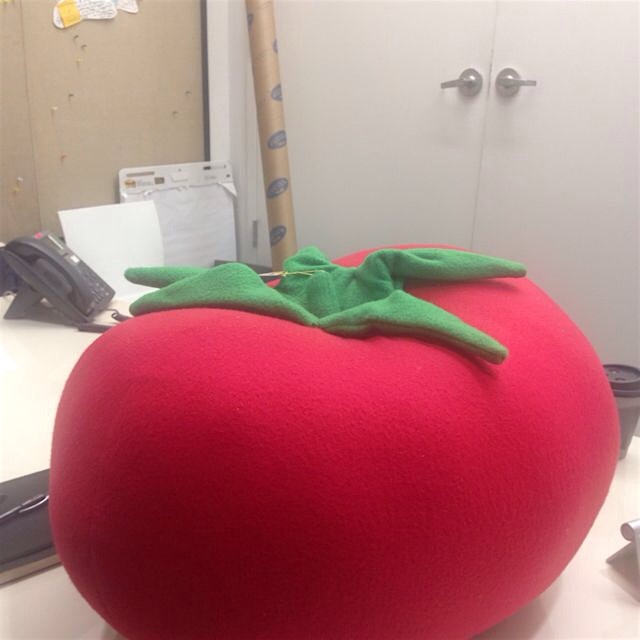 I had this delicious tomato for lunch today!