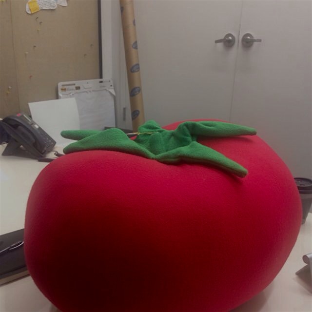 I had this delicious tomato for lunch today!