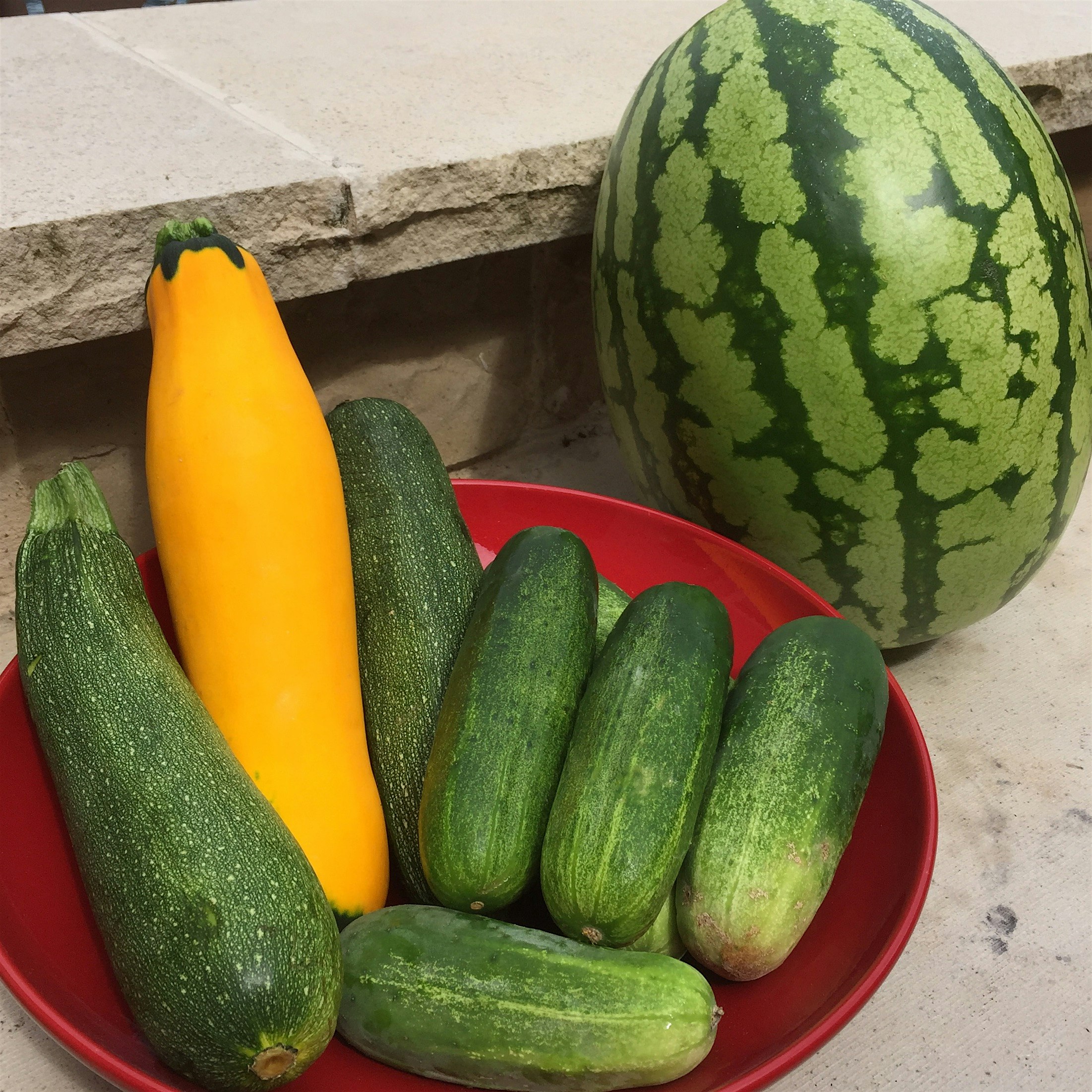 Fresh from the field.  Thank you Dallas Farmers Market!
