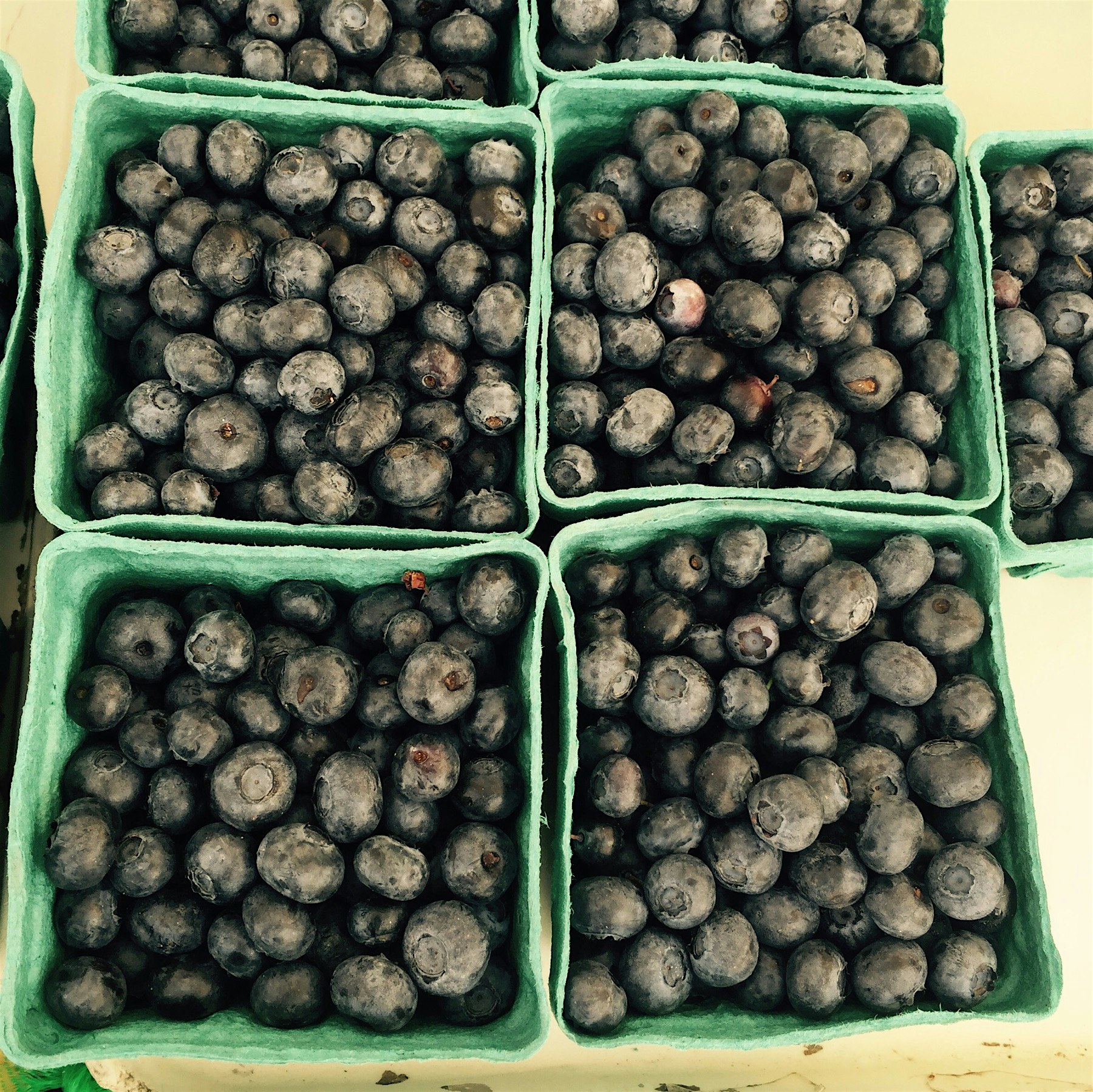 Getting patriotic berries on🇺🇸✨