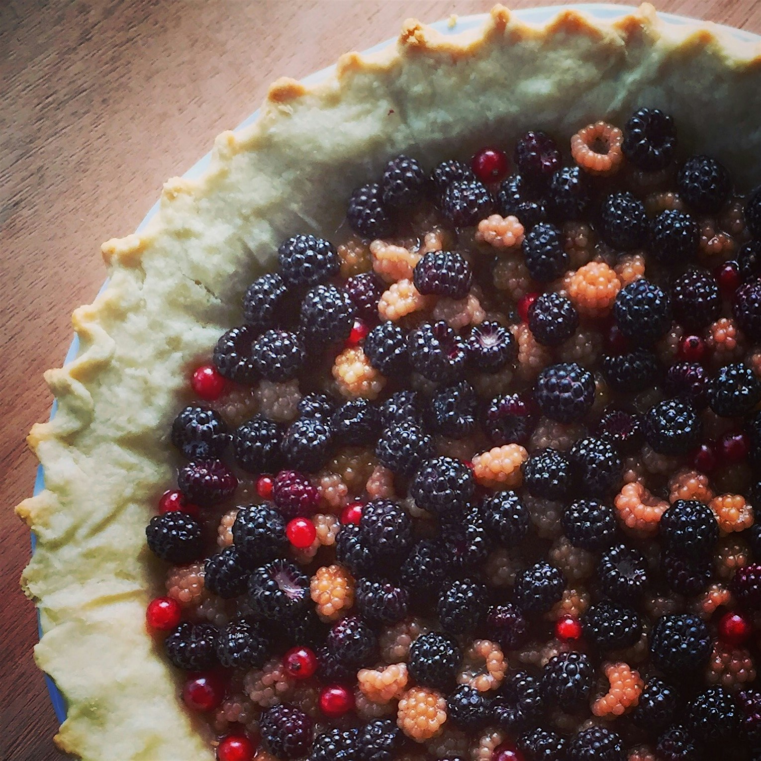 Homegrown berry pie! Golden and black raspberry pie with red currants