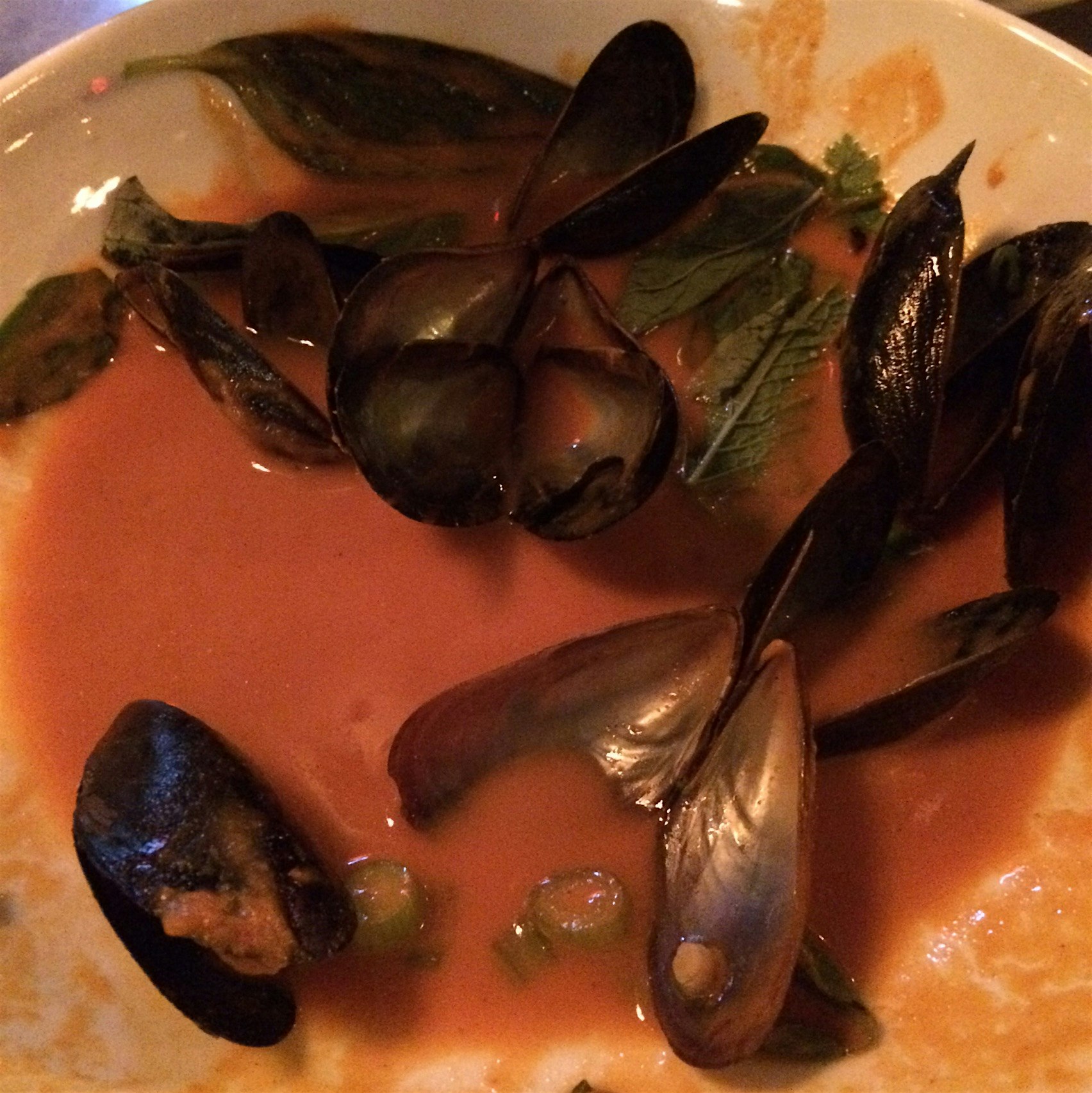 Flavor packed bowl of local mussels at new Seamore's, by Michael Chernow.