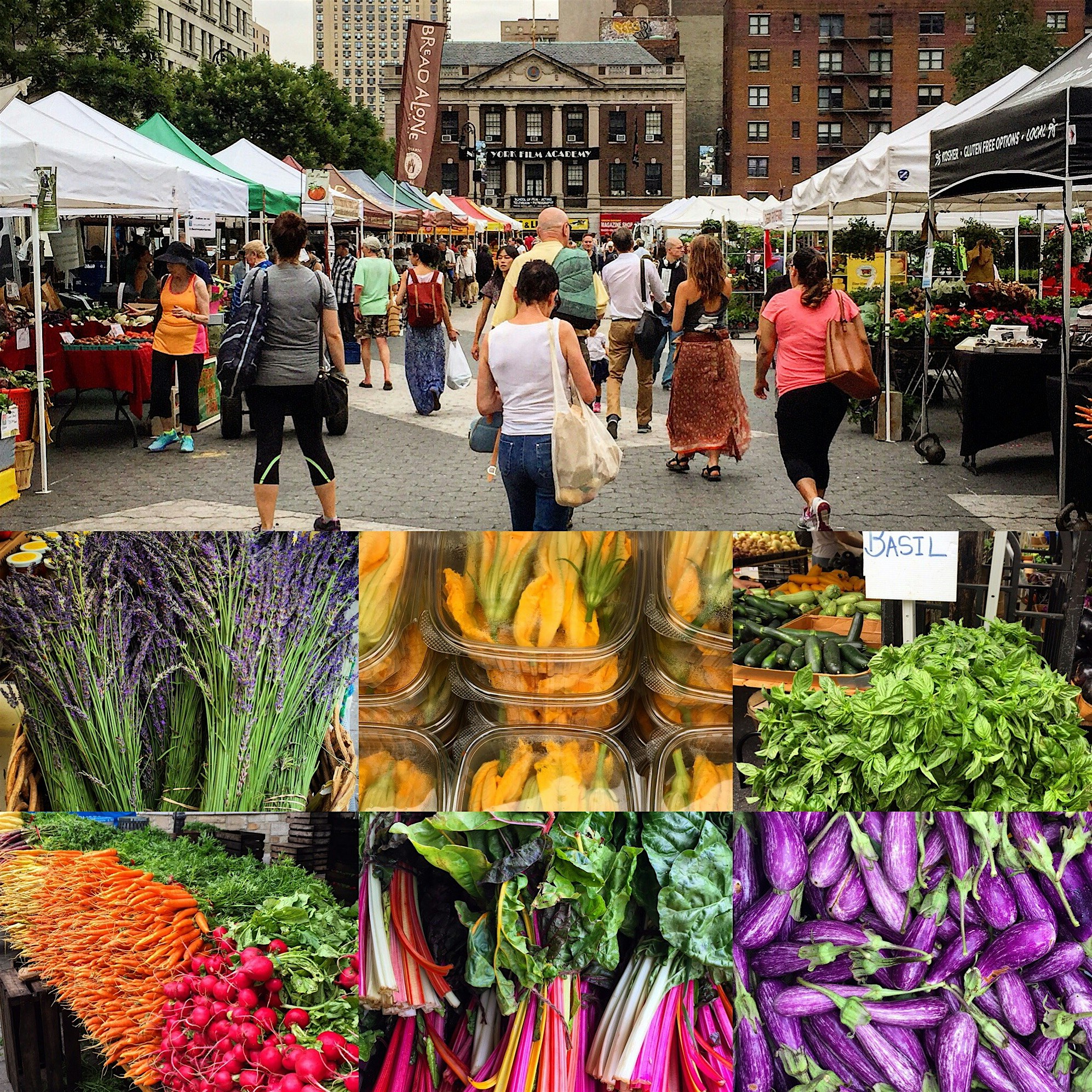 So wished we lived in NYC! Union Square Market. Feast for the senses. 