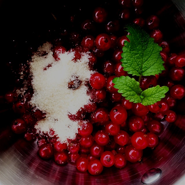 Making a red currants and mint sauce for dessert