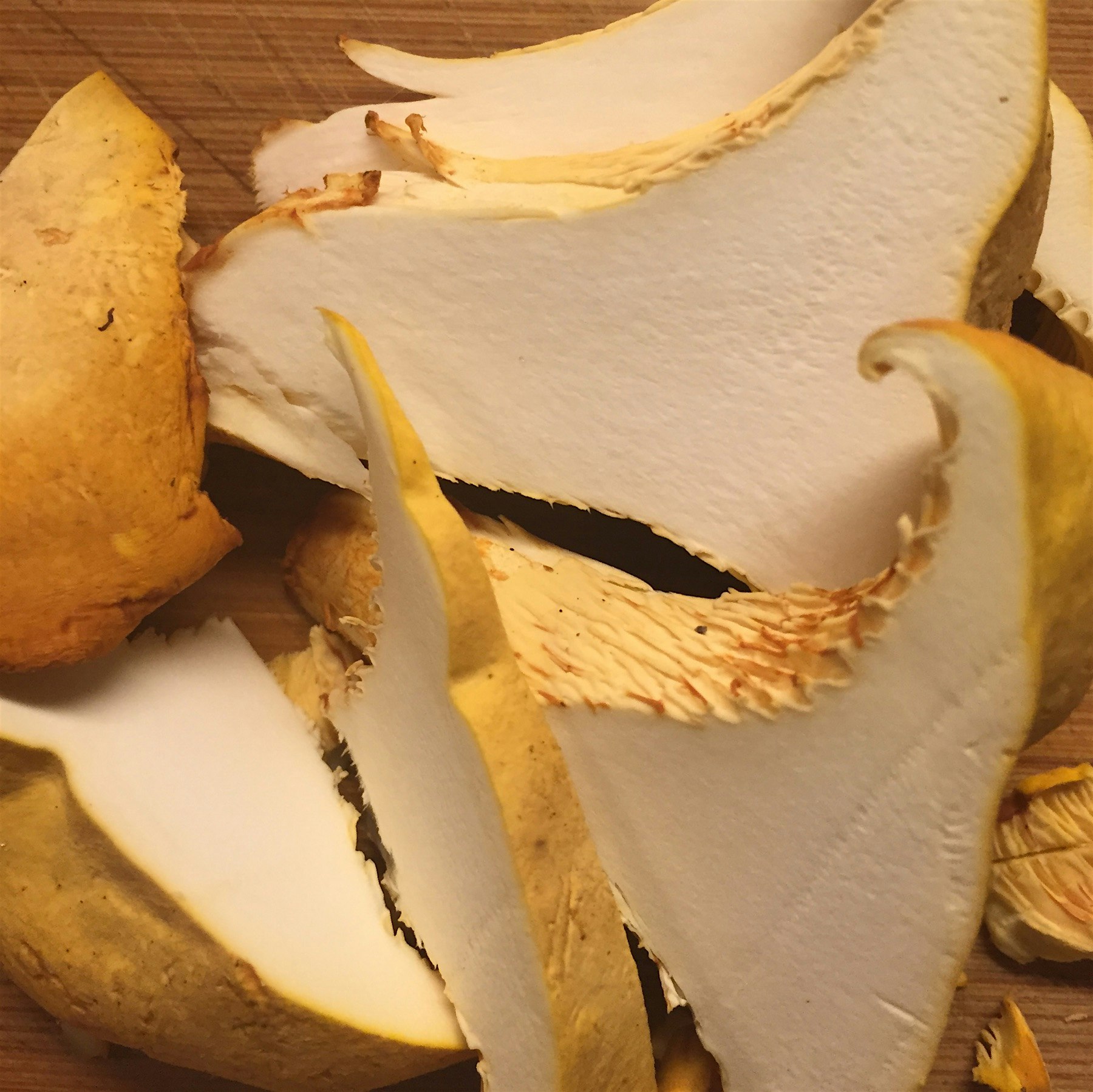 Perfection. Chanterelles 