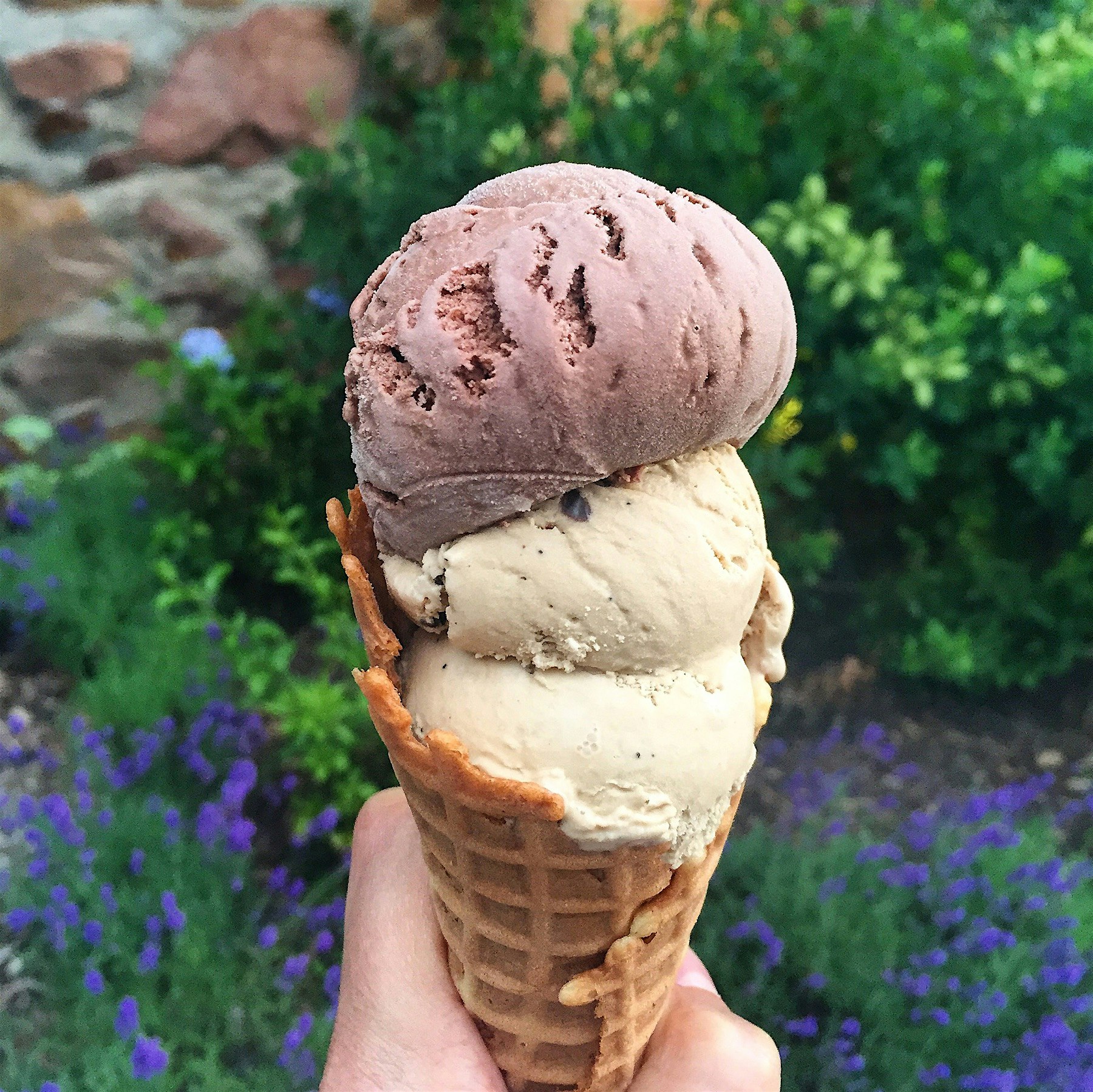 Hope I'm not too late! Ice cream on Ice Cream Day 😄😄 Chocolate Orange and Cafe Latte combo in a f...