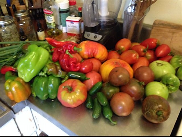 Salsa time! #melrose #corona #piminto