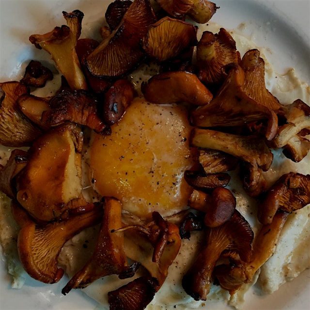 I love chanterelles and eggs for breakfast.