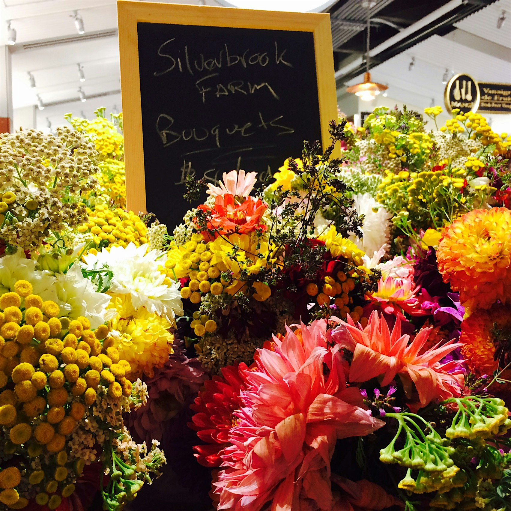 Another view from boston Public market- So. Many. Flowers!