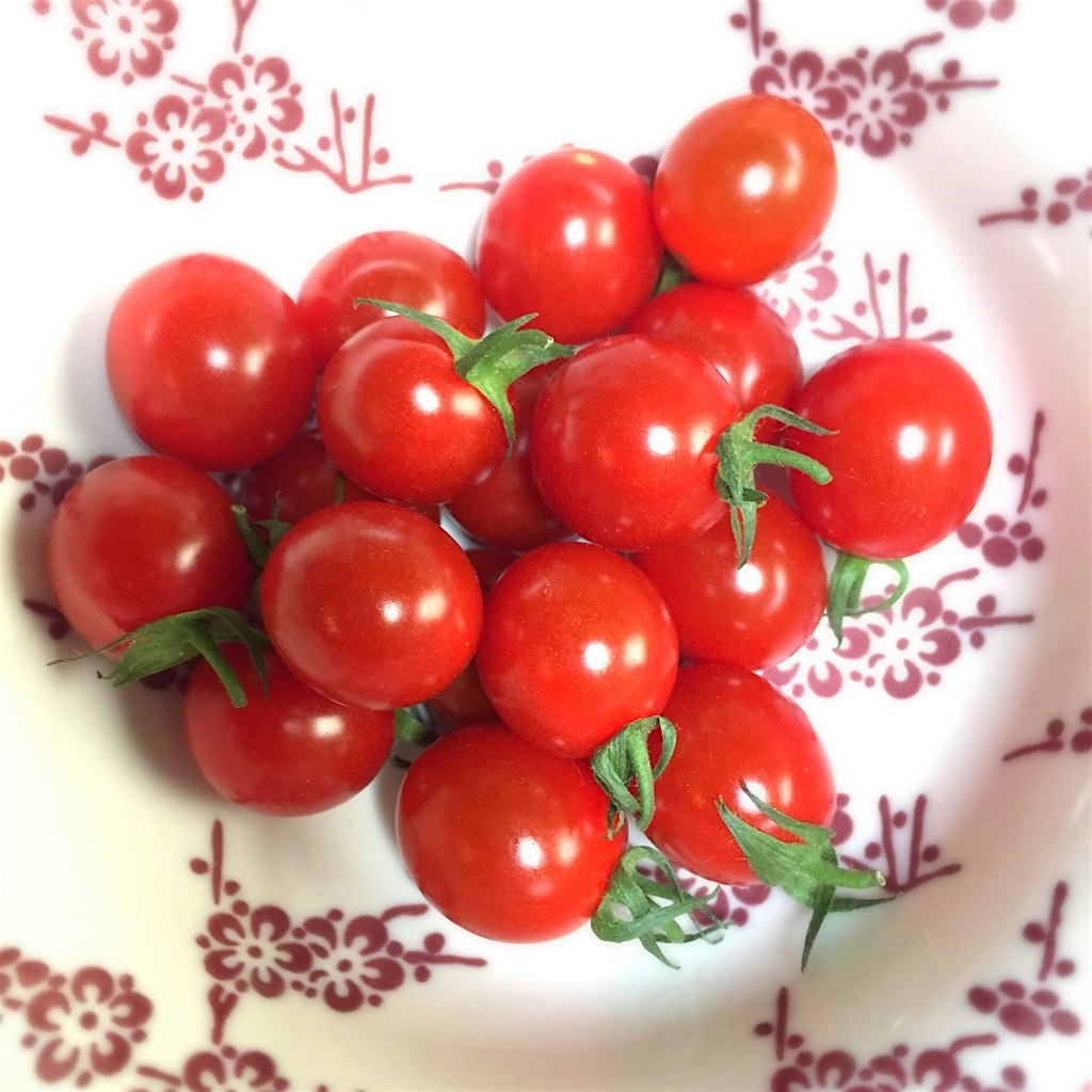 Best tomatoes of the season