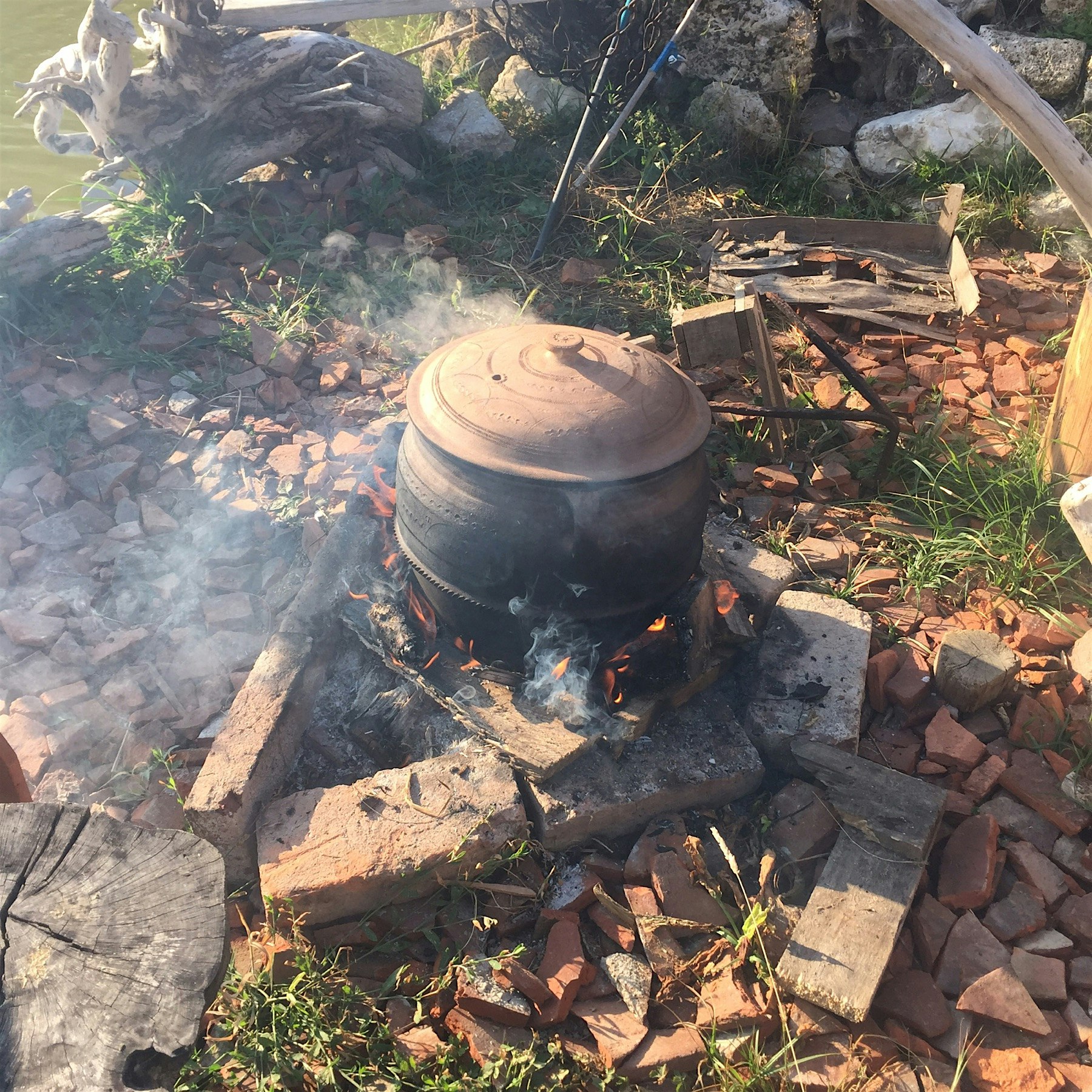 Eat local food - Purpledinner.com