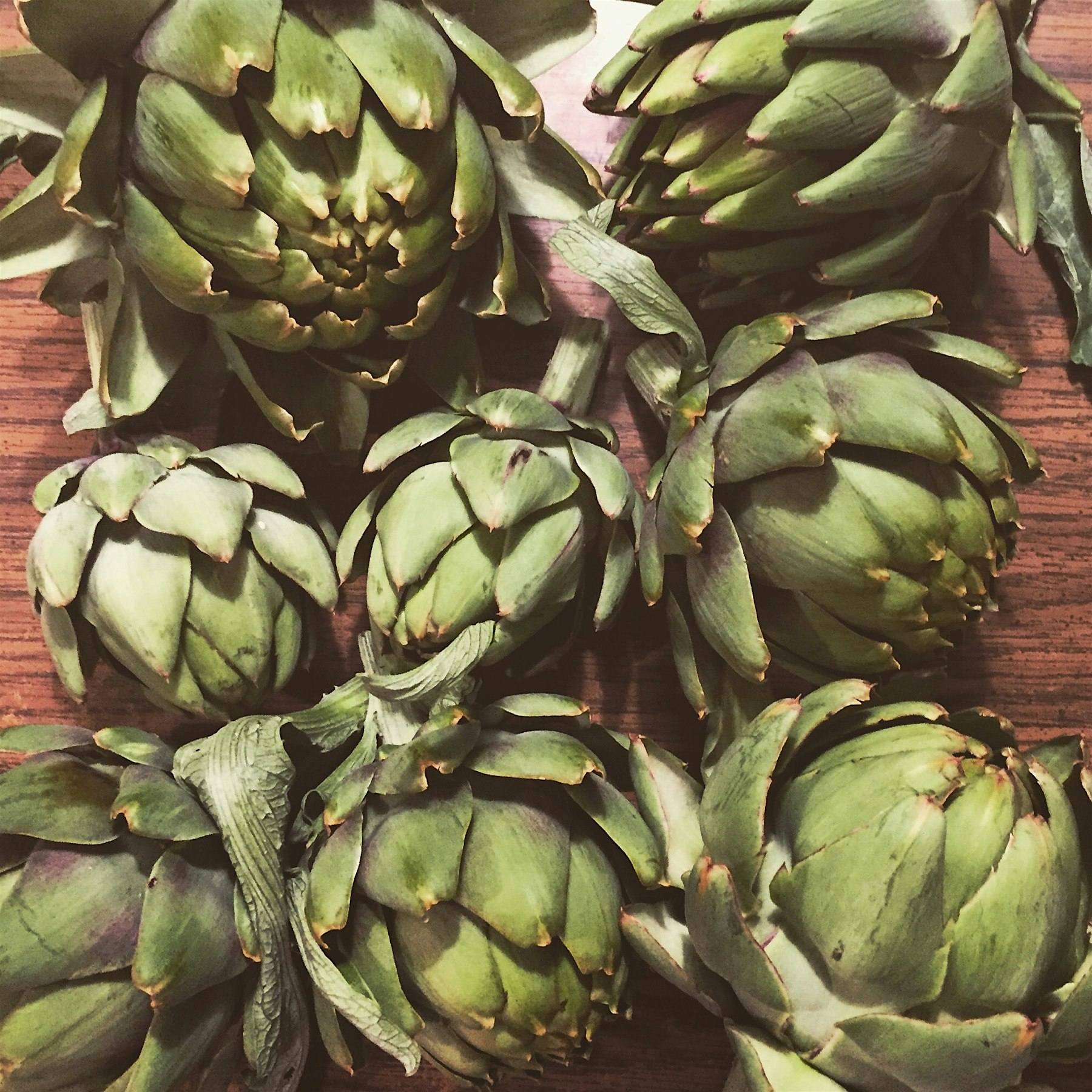 Artichokes NY. 