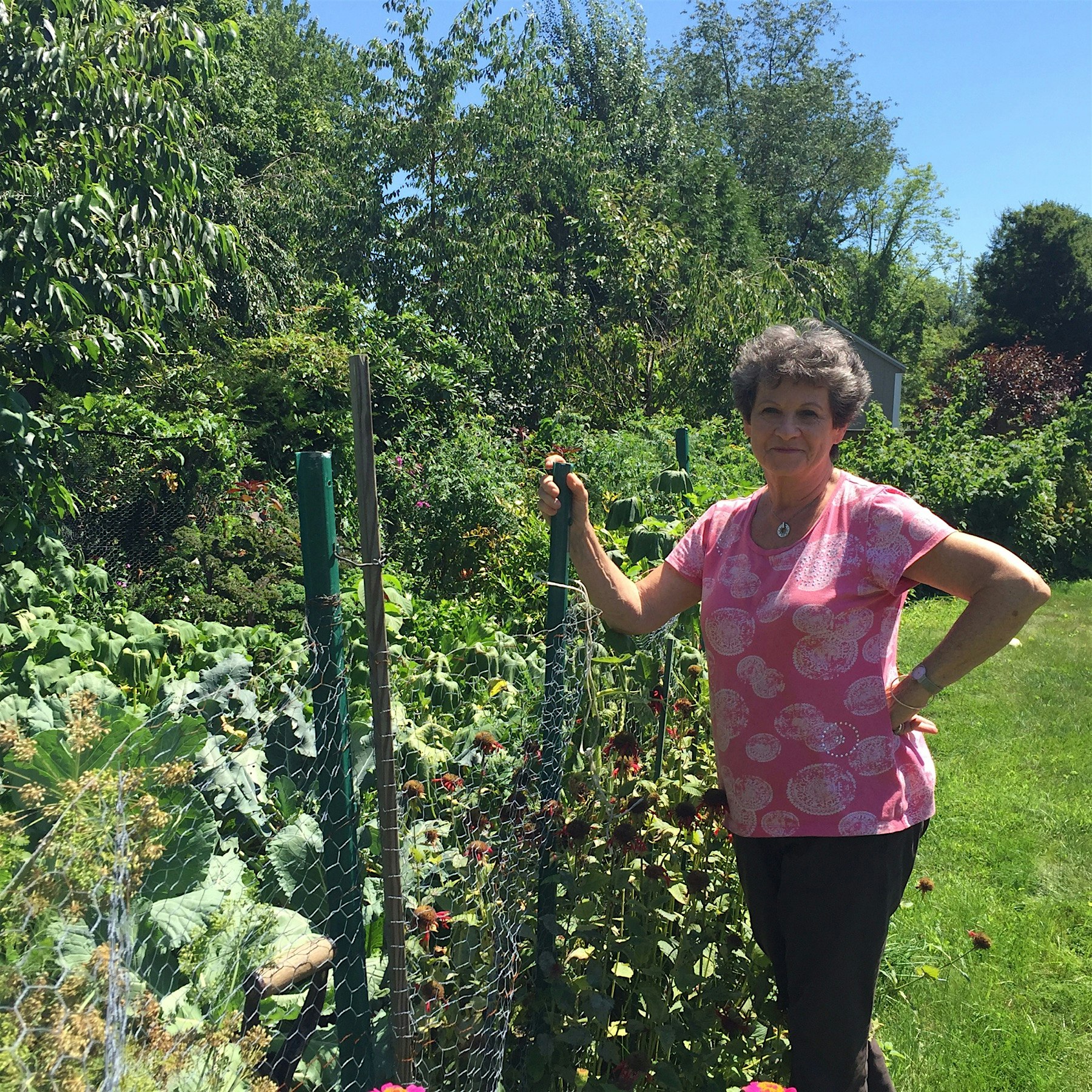 Proud of my friend's back yard vegetable garden. From kale to anise butternut squash tomatoes and...