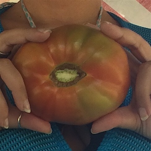 #redeats TomatoSummerLove