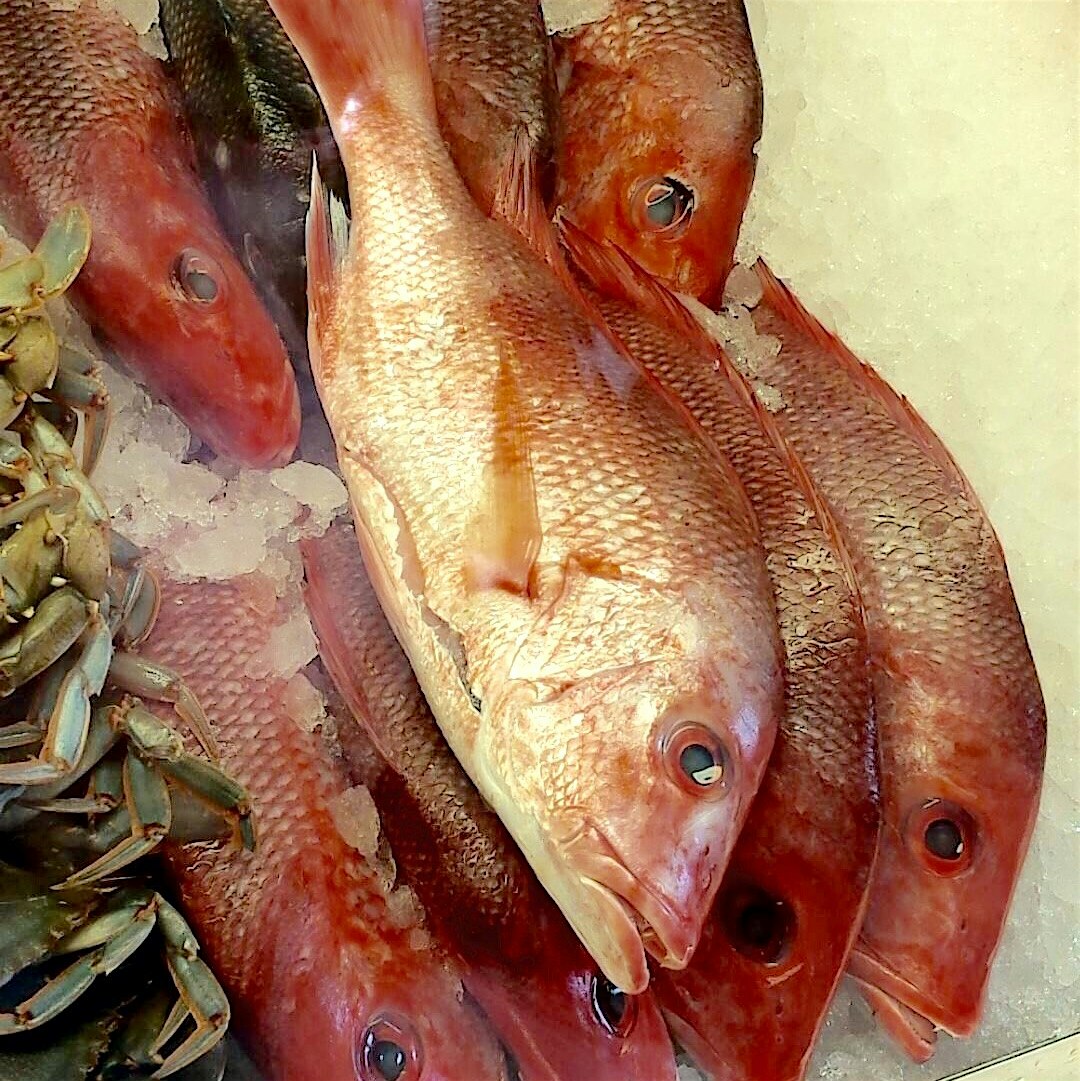 Red snapper will go on the grill this weekend #redeats