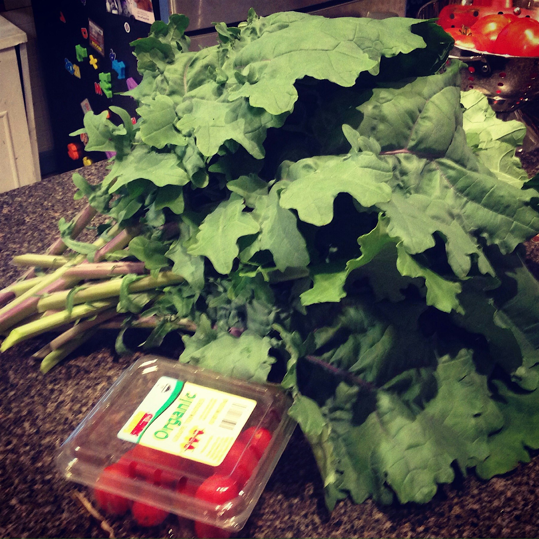 So much kale. So little time. Kale grows in Brooklyn. #auriasmalaysiankitchen #thesamballady #bro...