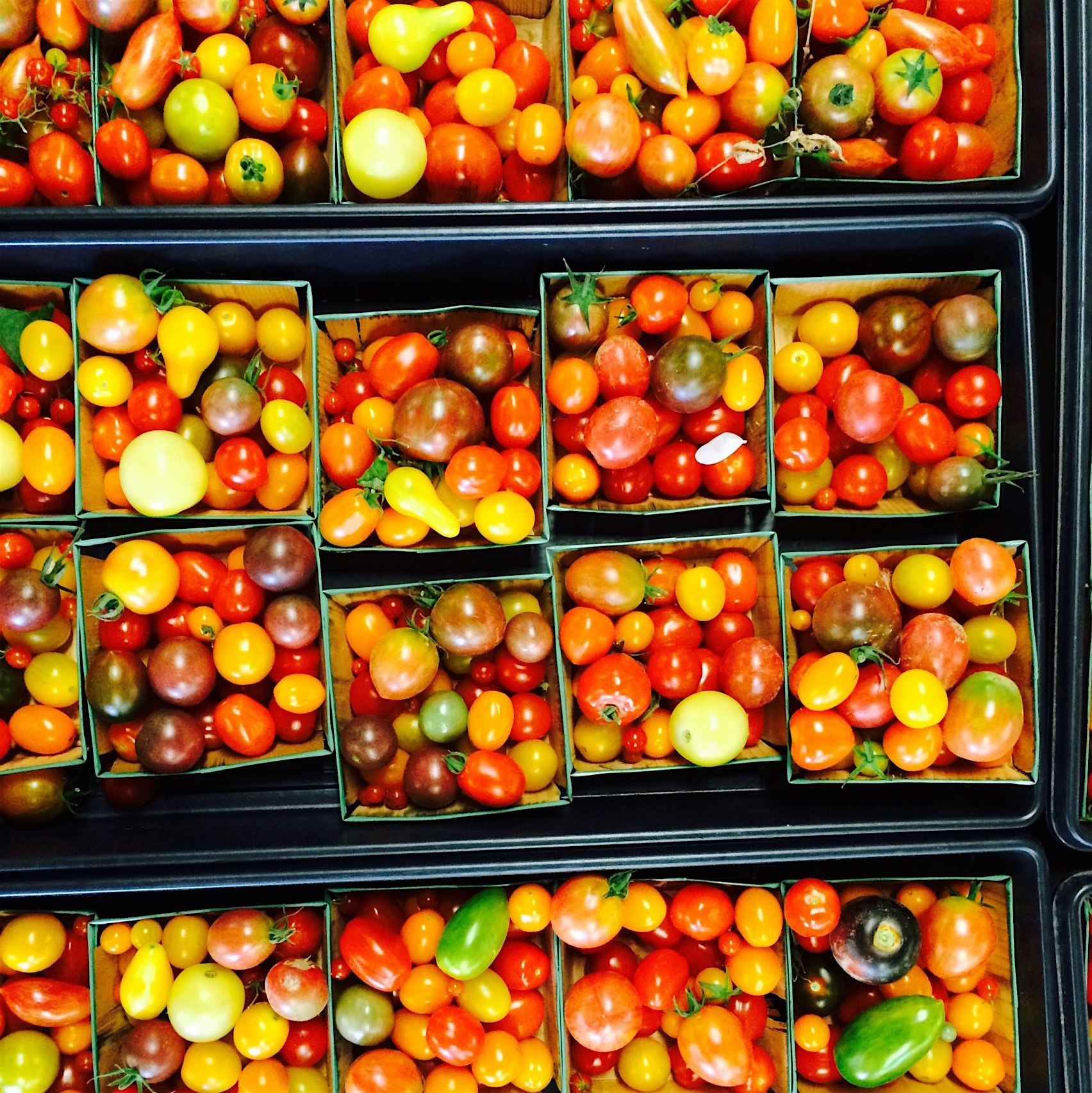 Heirloom tomatoes For miles! #redeats