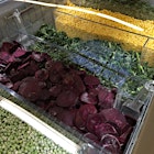 Frozen bulk vegetables. Now I have seen everything.