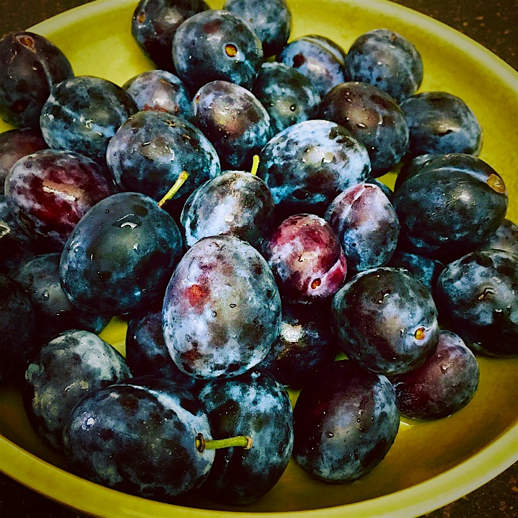 So excited when I saw these plums at the market!!!!! Let the German Pflaumenkuchen be baked!!!