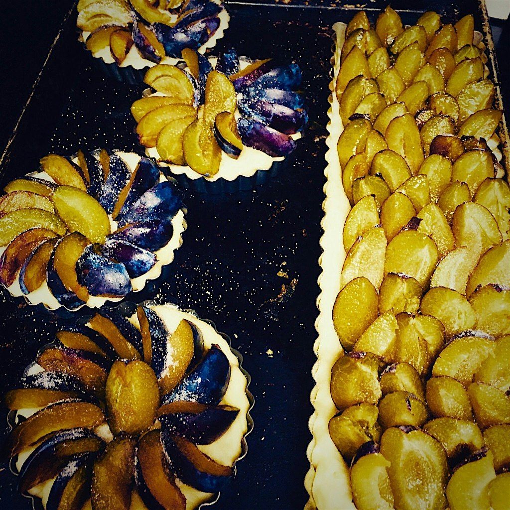 Naked plums before the streusel topping is added and they are put into the oven!