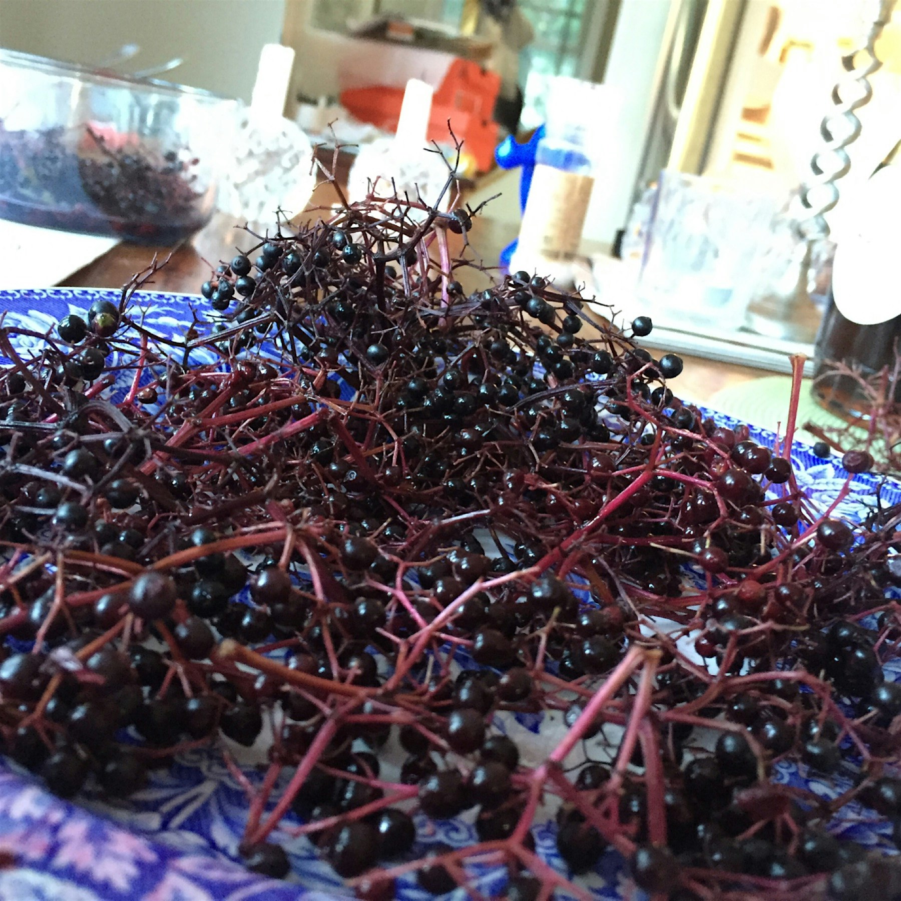 "Elderberry brambles for breakfast" photo credit Sophie, berries from Lucky Dog Farm