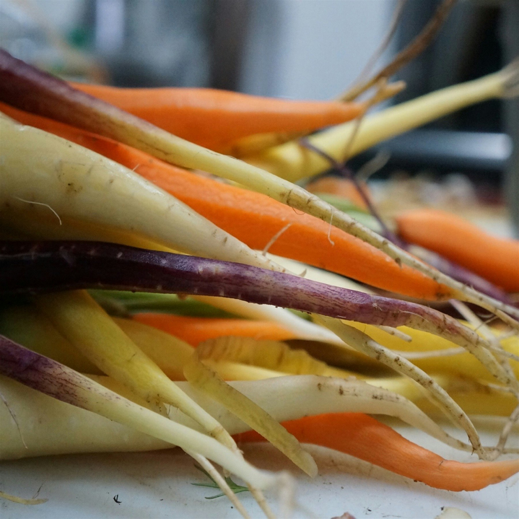 Can't get enough of these rainbow carrots! Just add olive oil, rosemary, fennel, roast for 45 min...