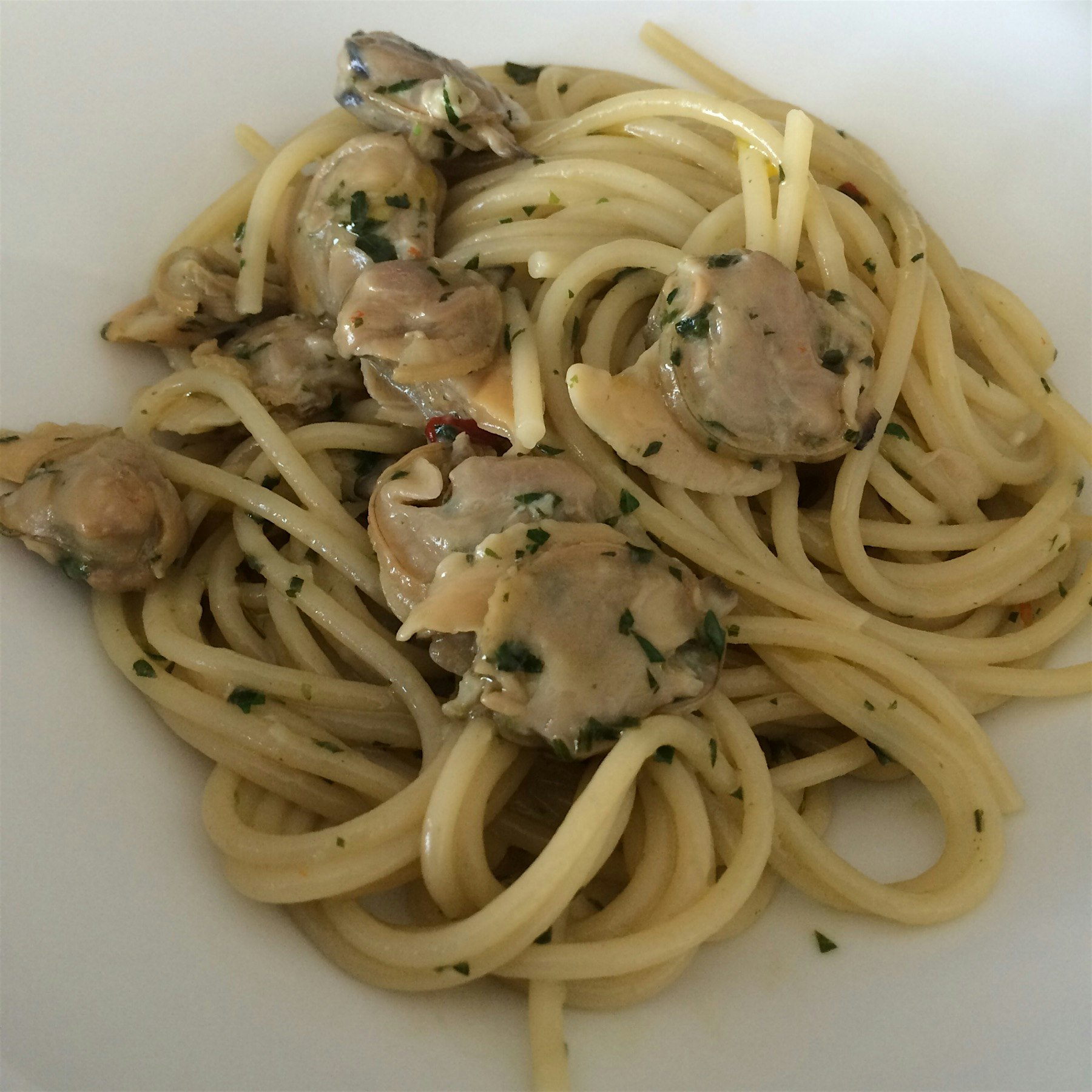 Spaghetti alle vongole Italian Style with Local little neck clams