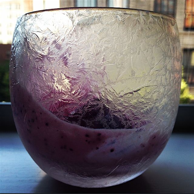 Homemade blueberry frozen yogurt with sheep's milk yogurt from Sophia's in Belmont, MA