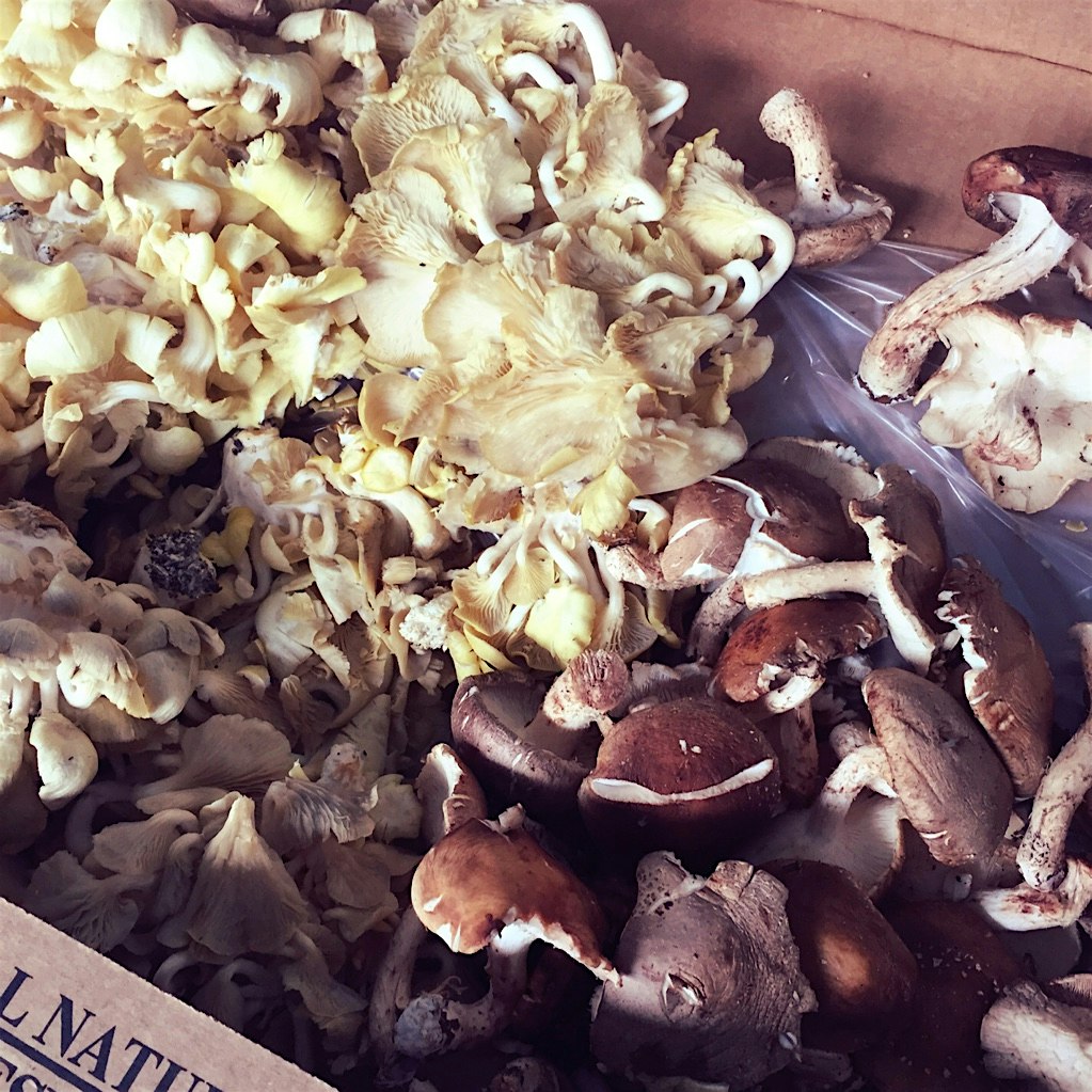 So many possibilities for these gems.