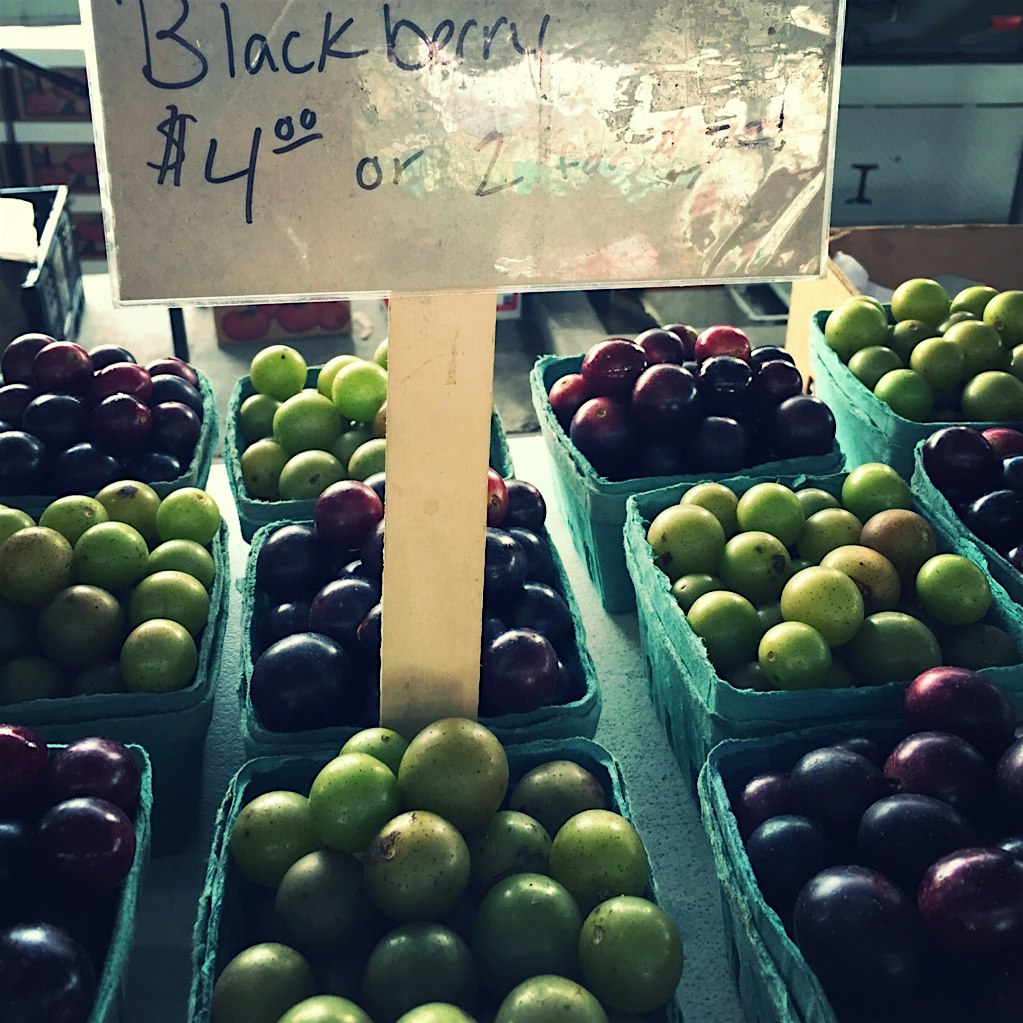 Time for muscadine in the south.