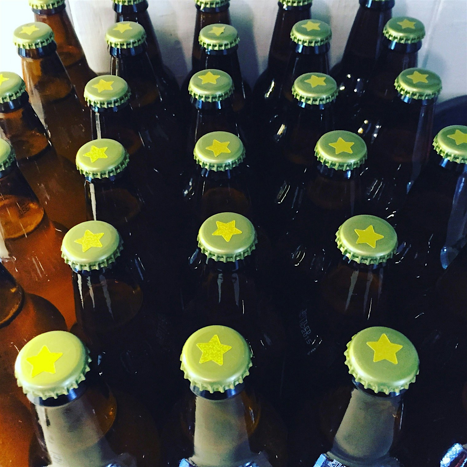 Fresh batch of reishi/bee pollen kombucha. 