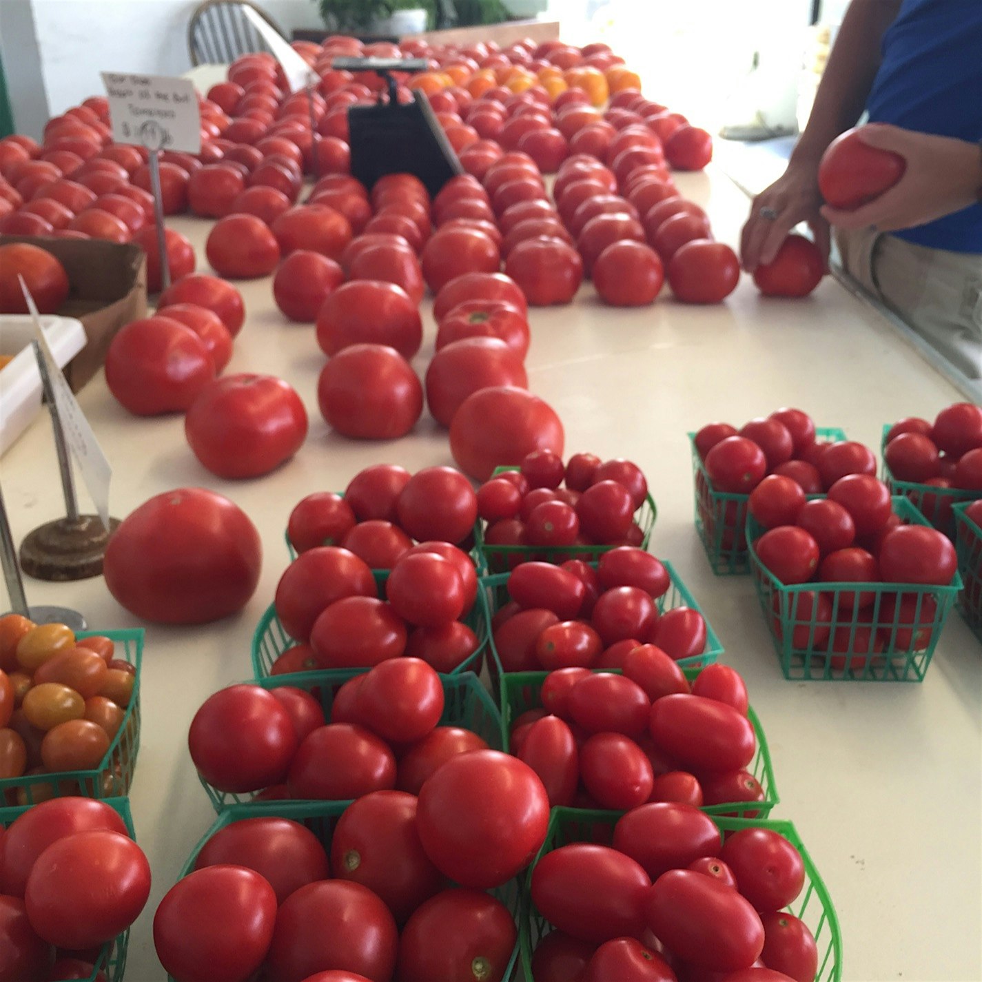 I love the meadows farm stand in Yorktown heights
Their tomatoes have the best flavor