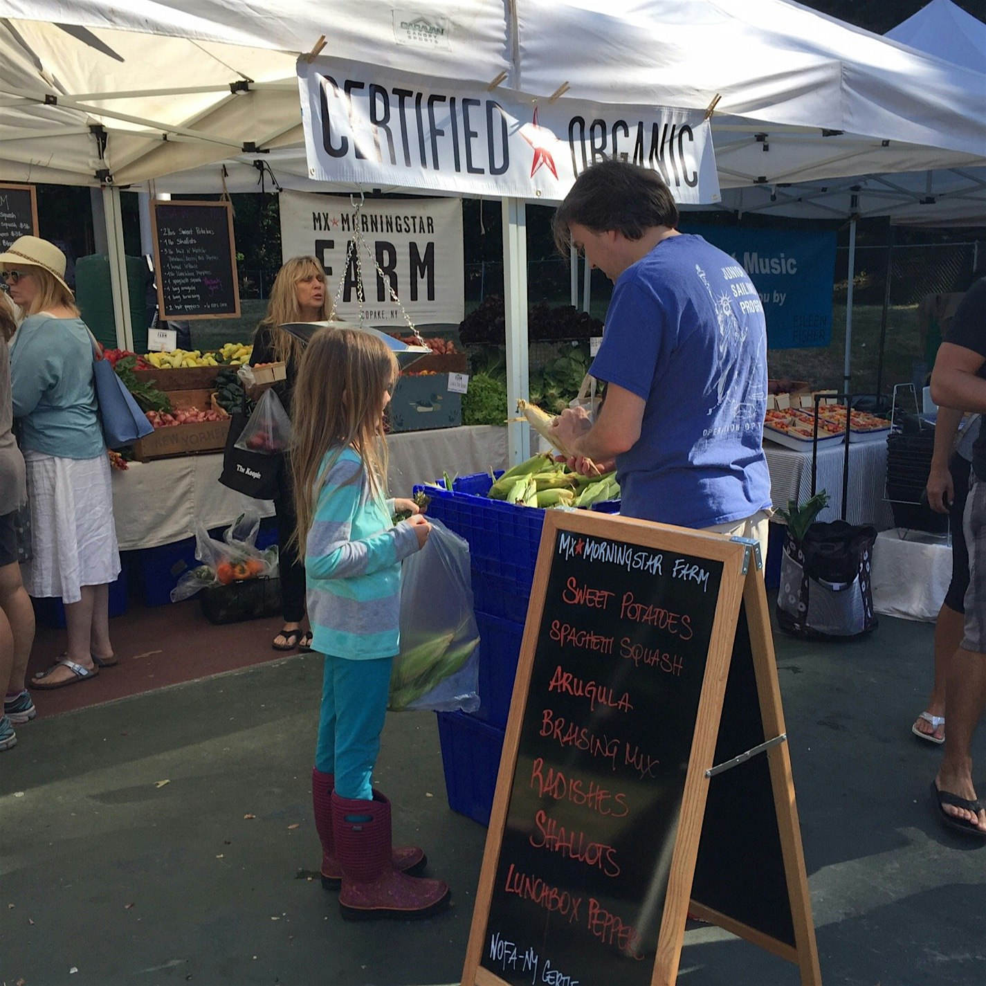 My "discovery" MX Morningstar Farm - rock star young farmers selling at Hastings on Hudson and Ir...