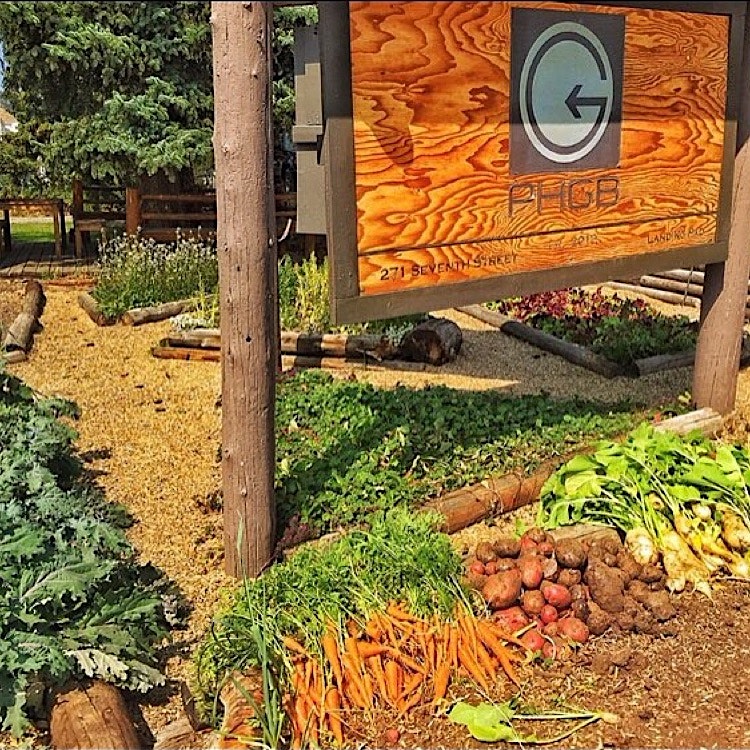Earlier this year my friends at PlayHard GiveBack built and planted a community roadside garden w...