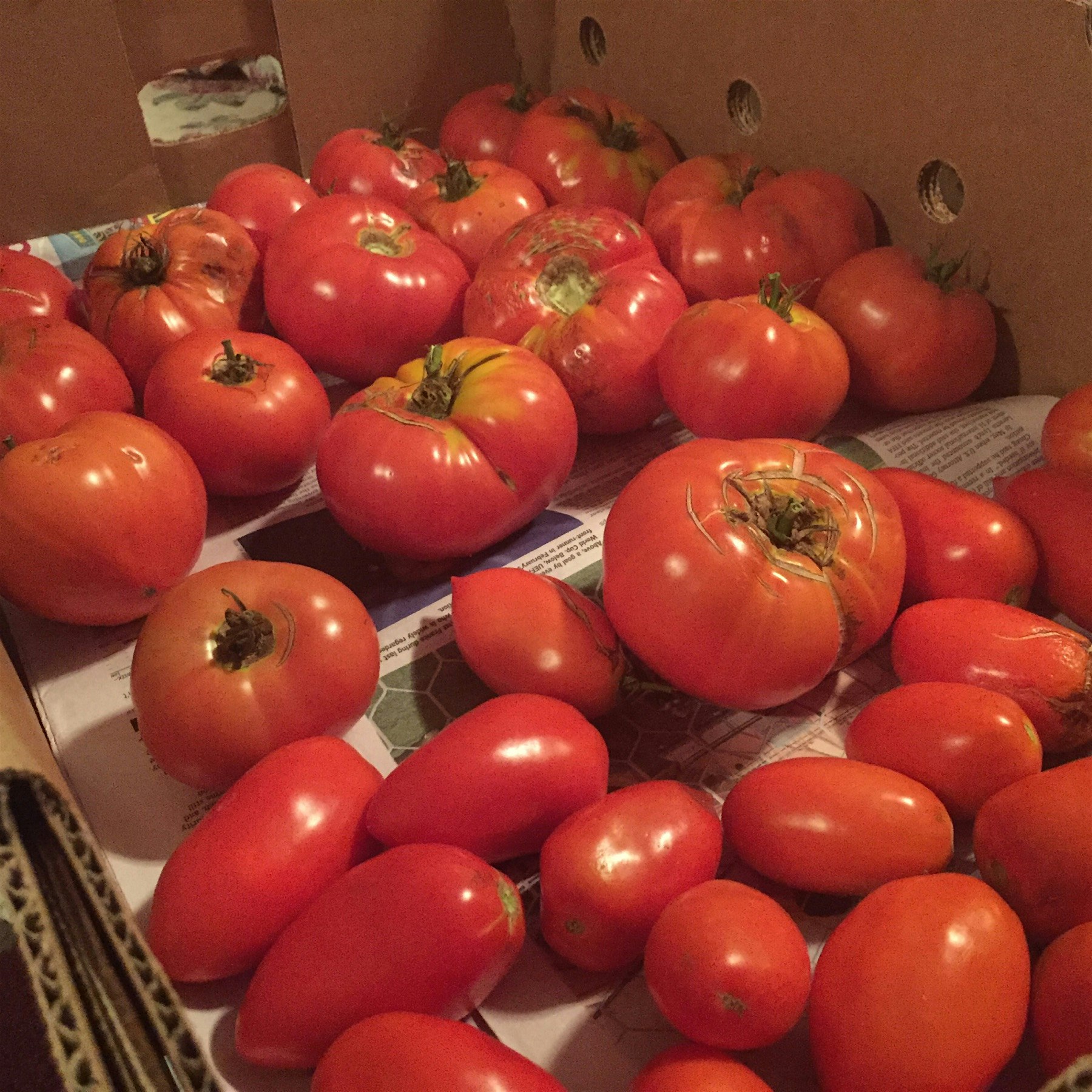 You could say the garden did well this year... 