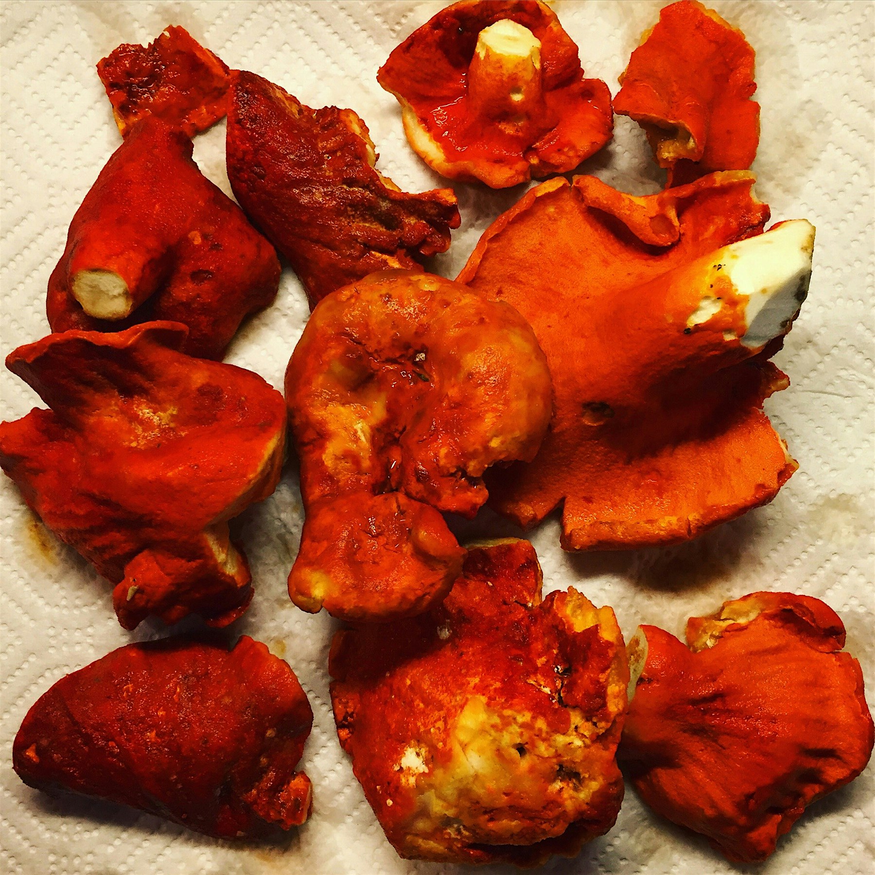 Lobster mushrooms. 