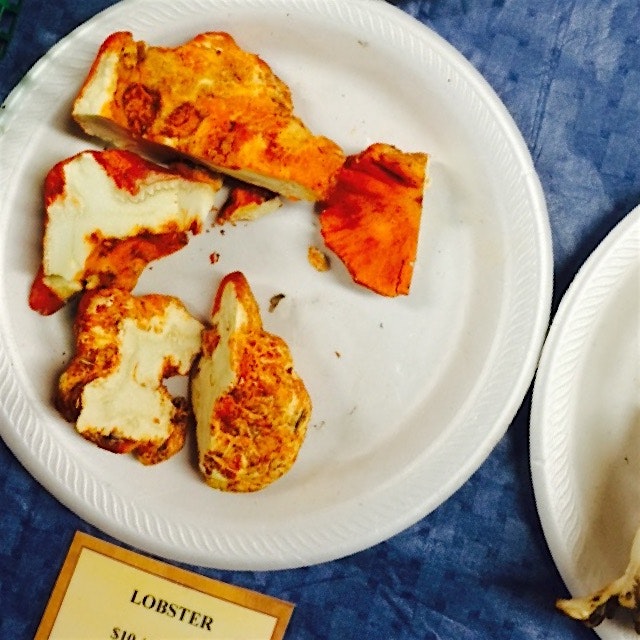 @MLapi I found lobster mushrooms In Michigan. I had no idea how prized these were. Going rate is ...