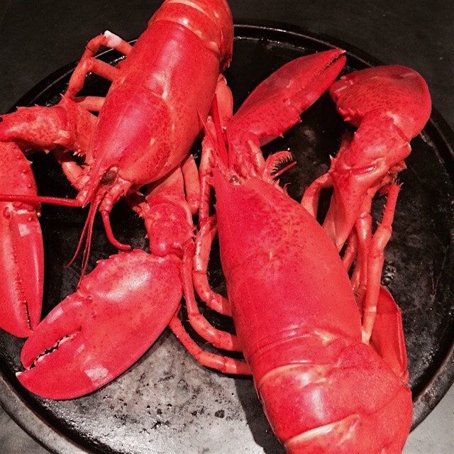 Goodbye Maine see you in December.