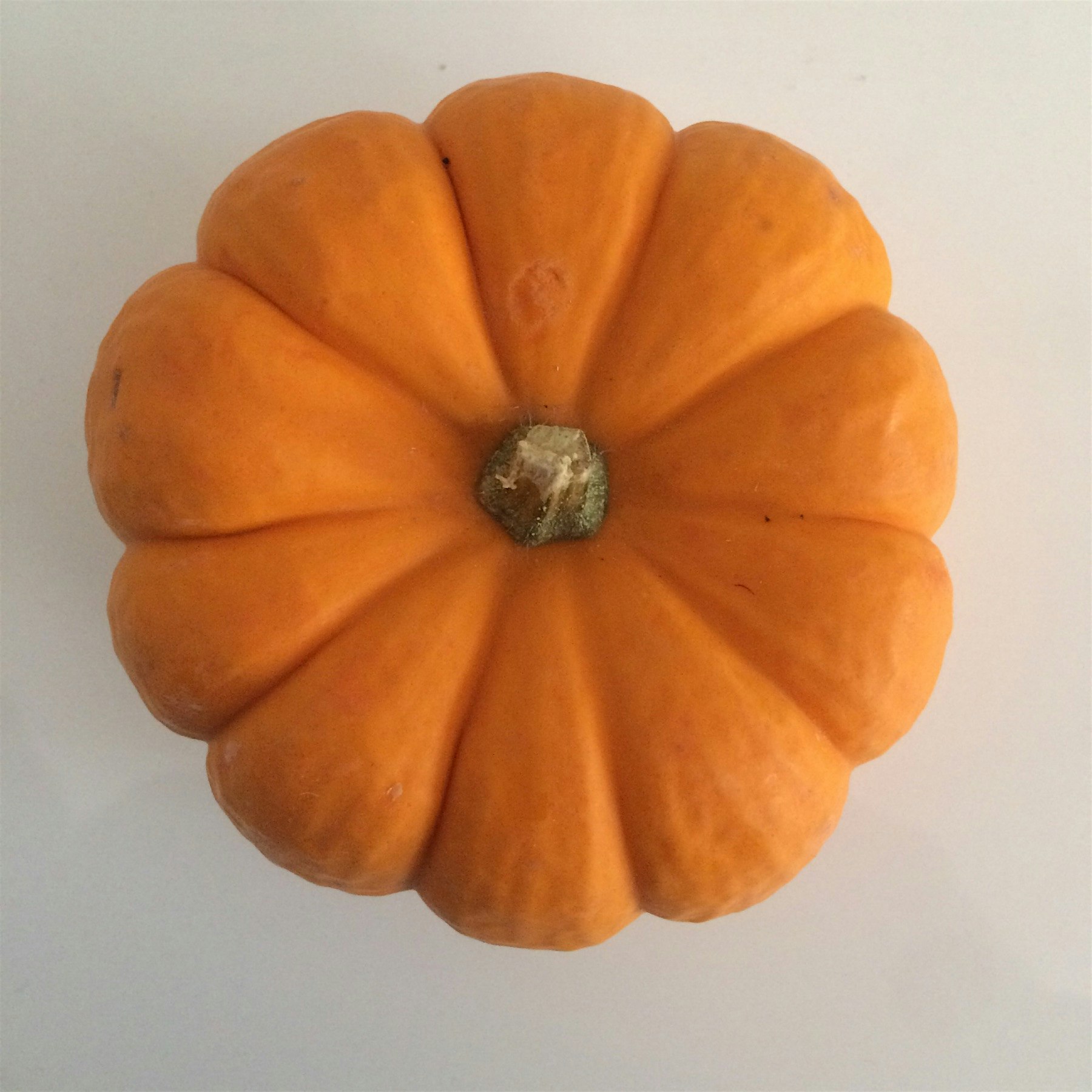 NOW it feels like fall