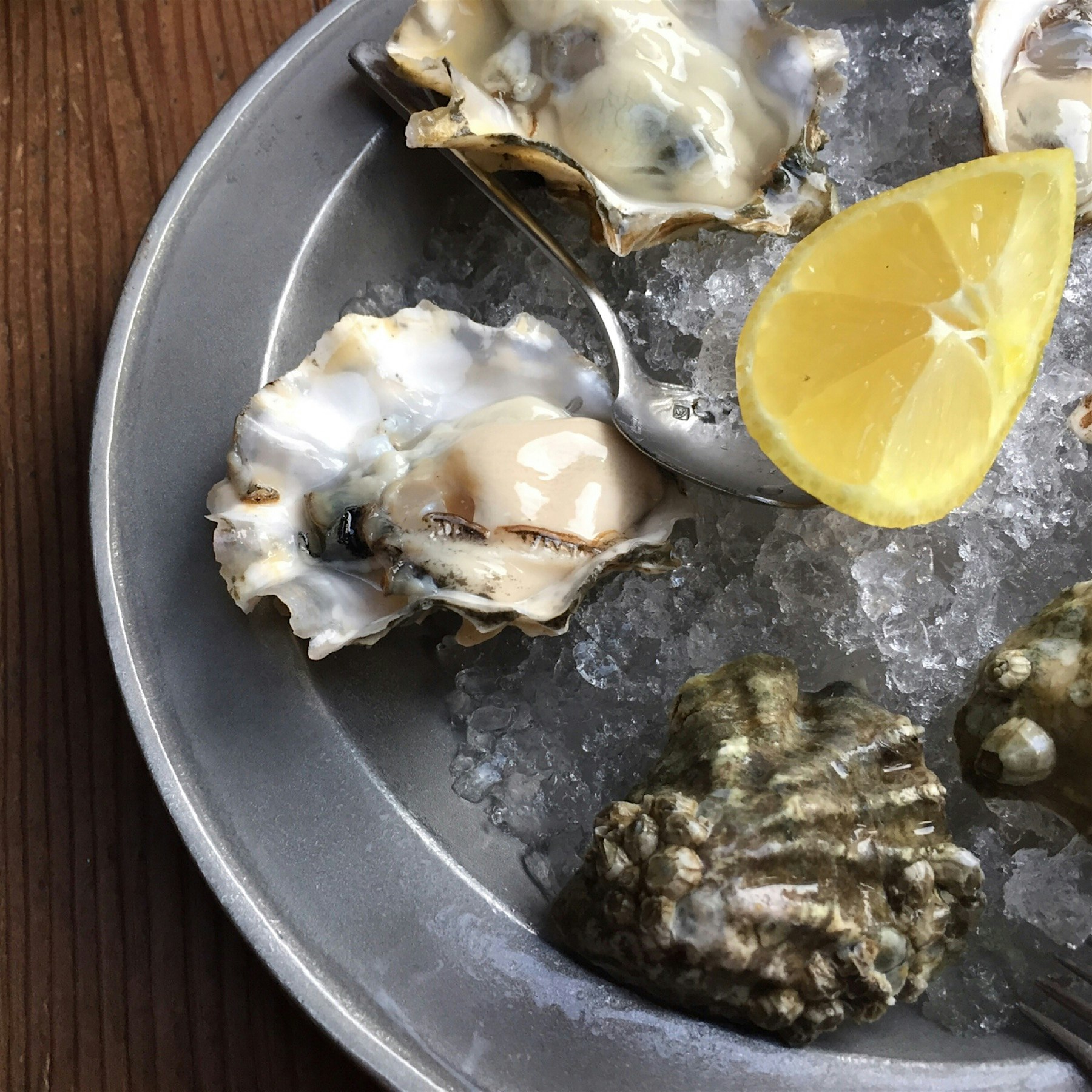 Love the variety of oysters at Gjelina!