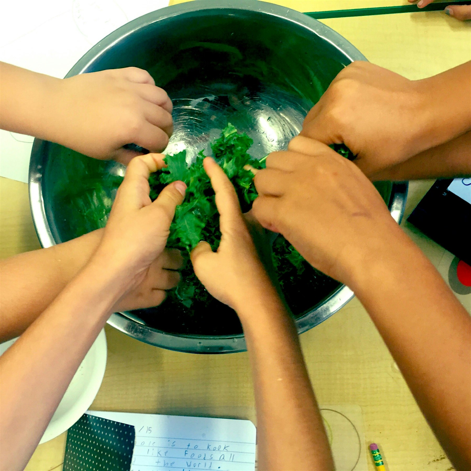 Happy National Kale Day! Teaching kids about kale chips all day!! 