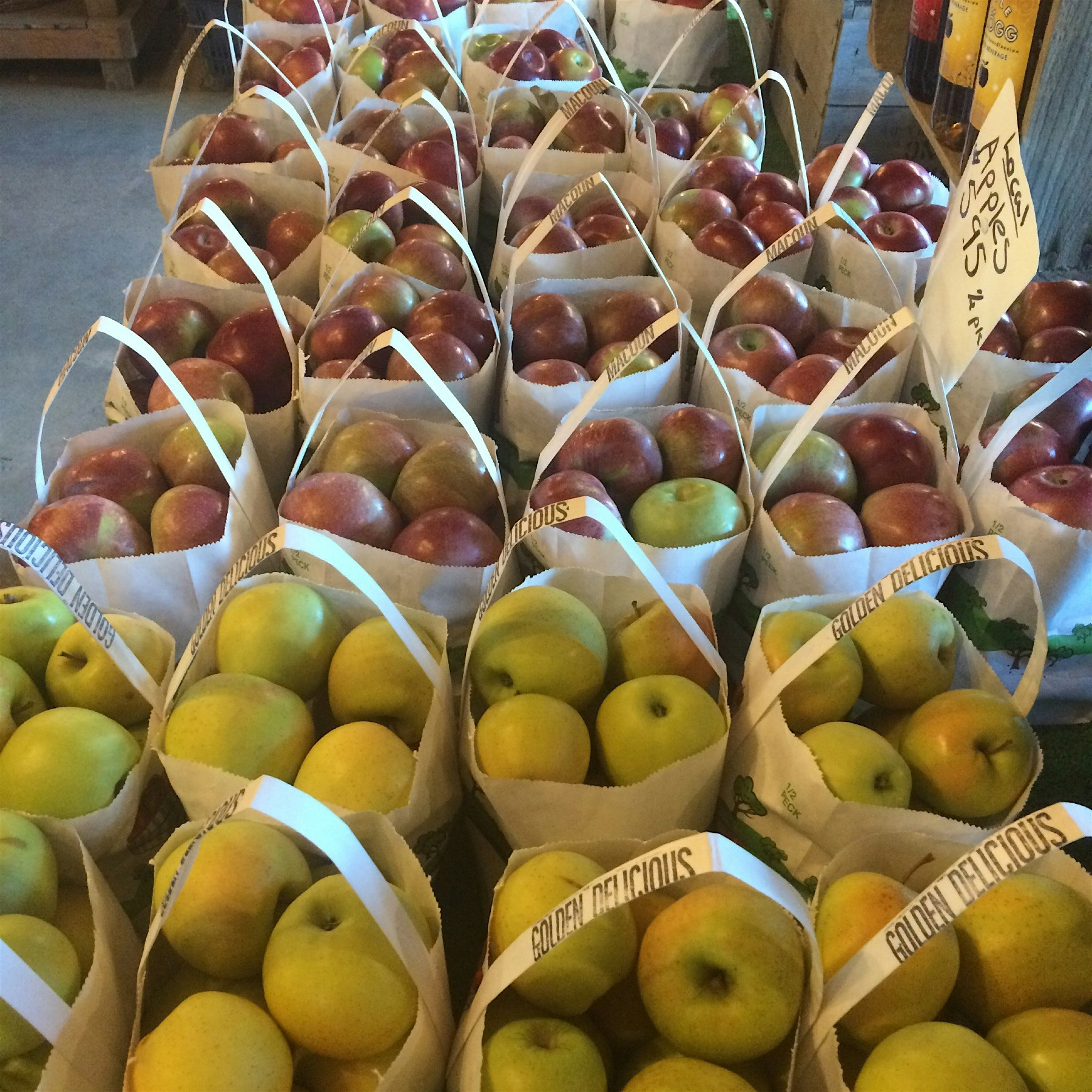 Stocking up near new paltz