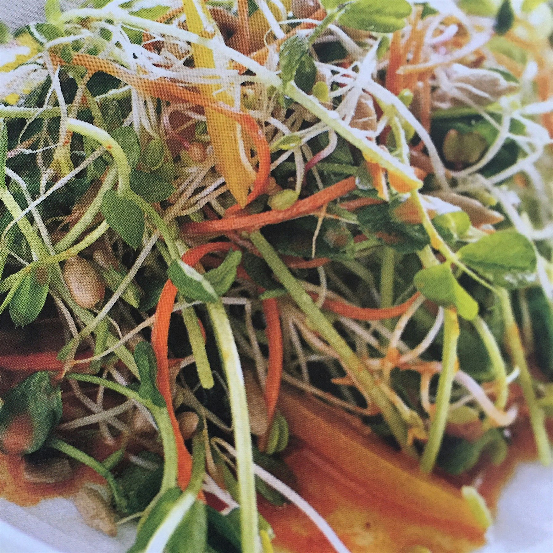 Sunflower Salad with Spicy Carrot Dressing