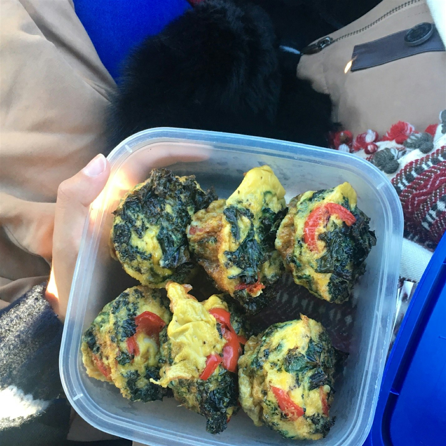 First tailgate at the same time as my first sugar detox. Ohmmmm to survive, I made these little o...